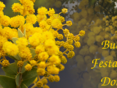 Buona festa della donna!